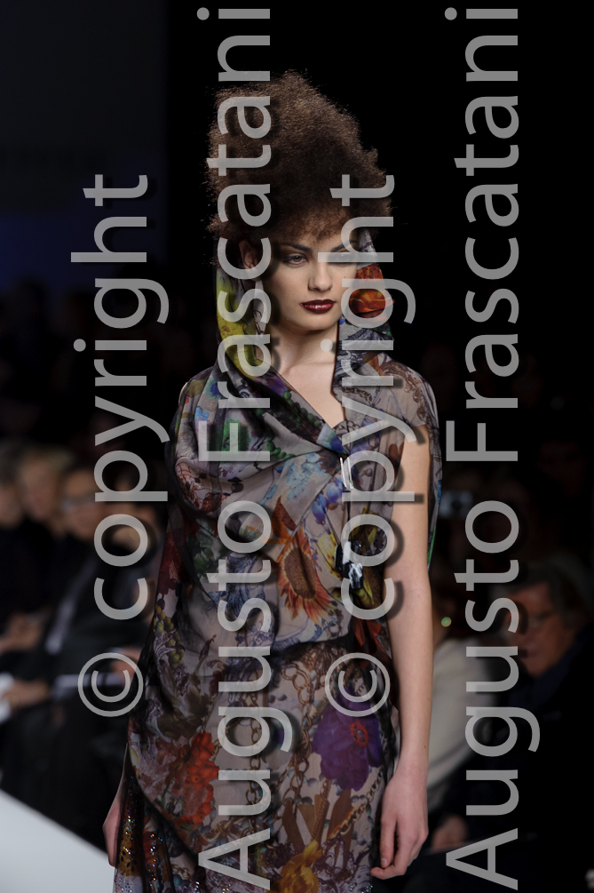 FER_3026